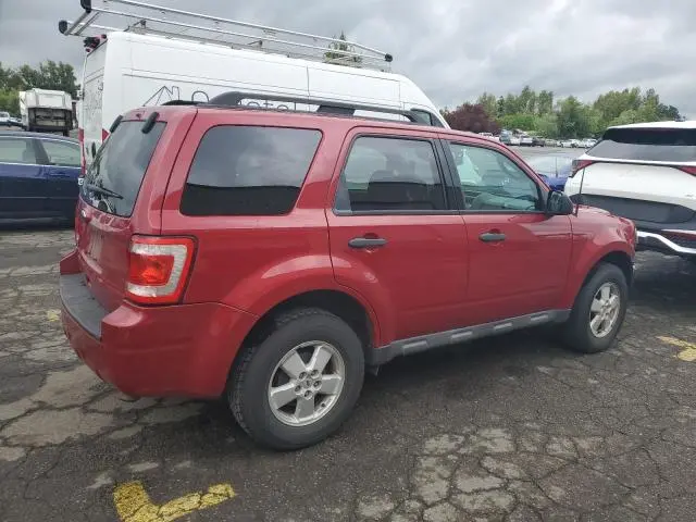 2010 FORD ESCAPE XLT