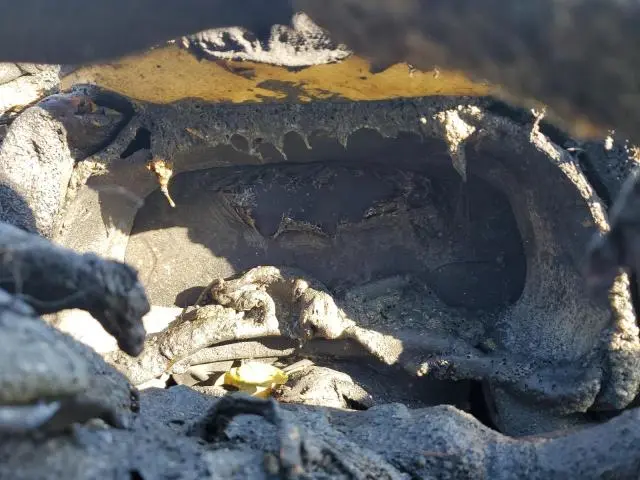 2025 LEXUS RX 350 BASE  