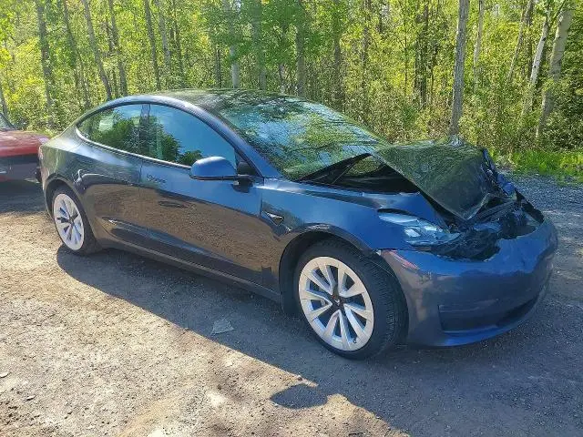 2021 TESLA MODEL 3   