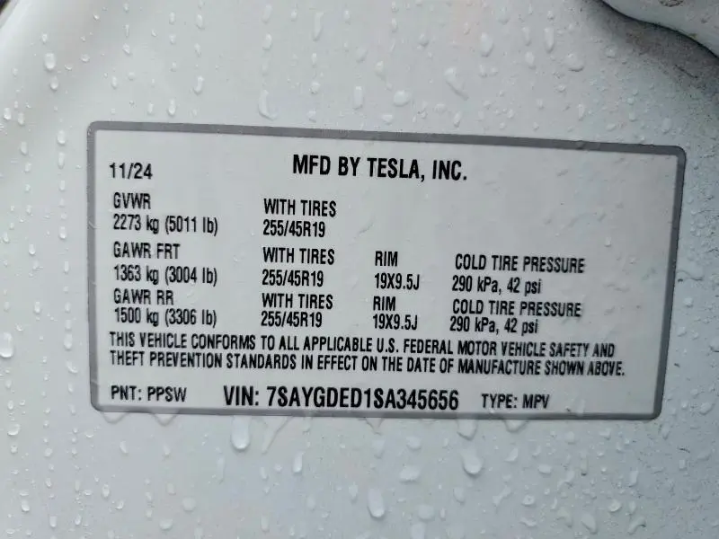 2025 TESLA MODEL Y   