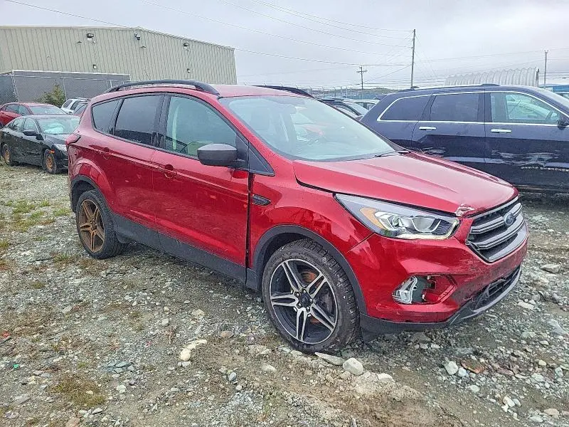 2019 FORD ESCAPE SEL  