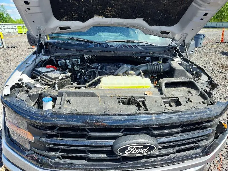 2025 FORD F150 XLT  