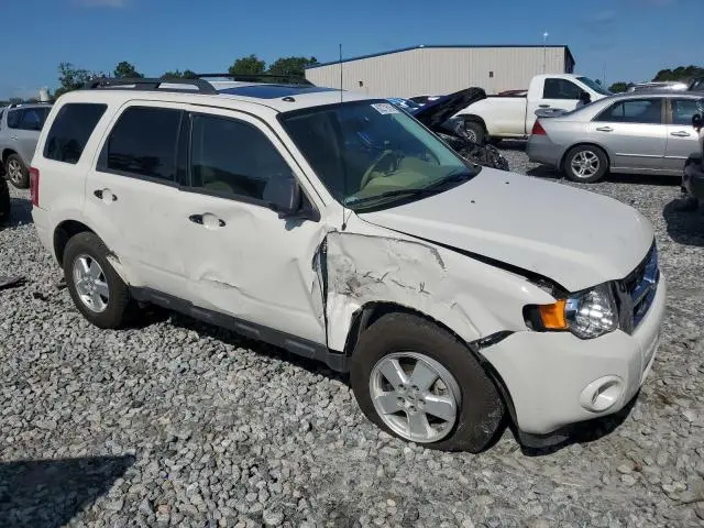 2012 FORD ESCAPE XLT  