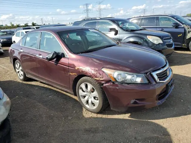 2010 HONDA ACCORD EXL  