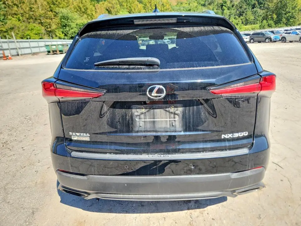 2019 LEXUS NX 300 F SPORT  