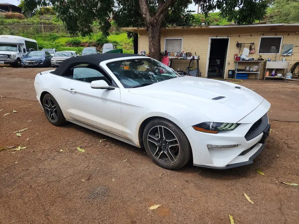 2023 FORD MUSTANG   