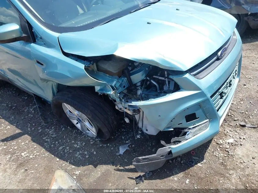 2013 FORD ESCAPE SE