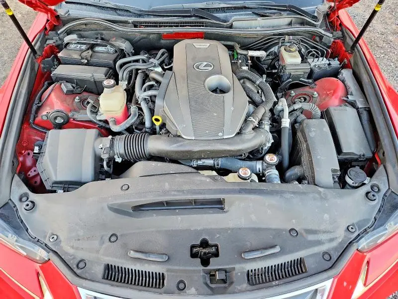 2019 LEXUS IS 300  