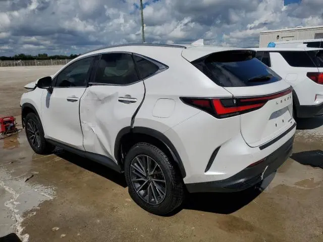 2025 LEXUS NX 350H BASE  