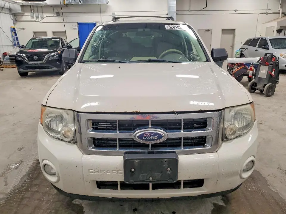 2010 FORD ESCAPE XLT  