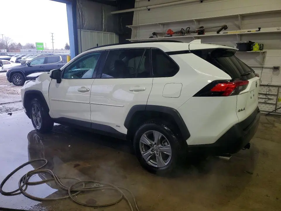2024 TOYOTA RAV4 LE  