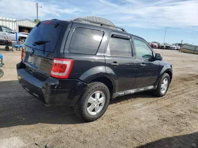 2011 FORD ESCAPE XLT