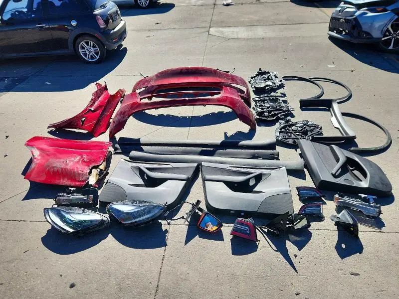 2025 TESLA MODEL Y   