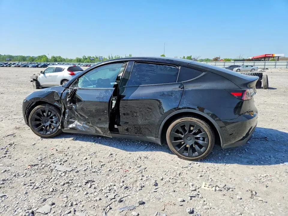 2021 TESLA MODEL Y   