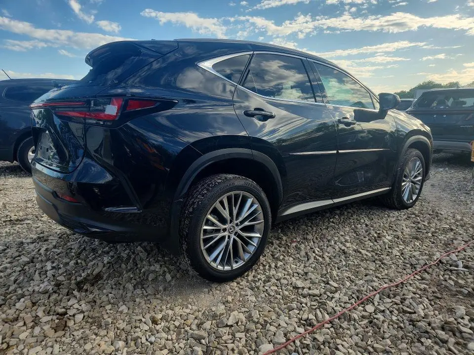 2024 LEXUS NX 350 LUXURY  