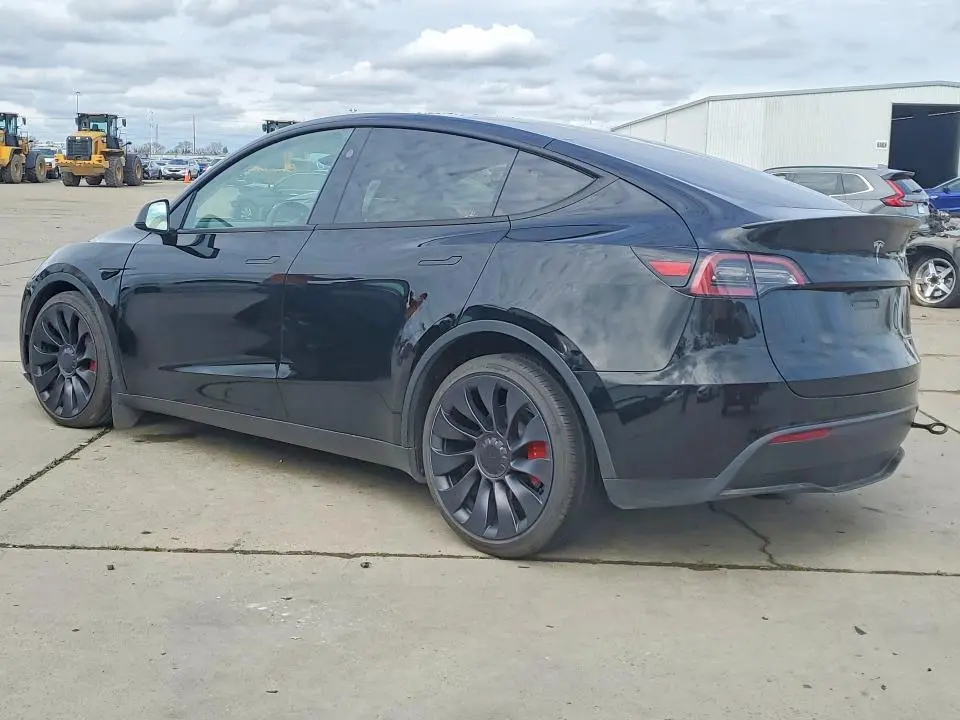 2025 TESLA MODEL Y   