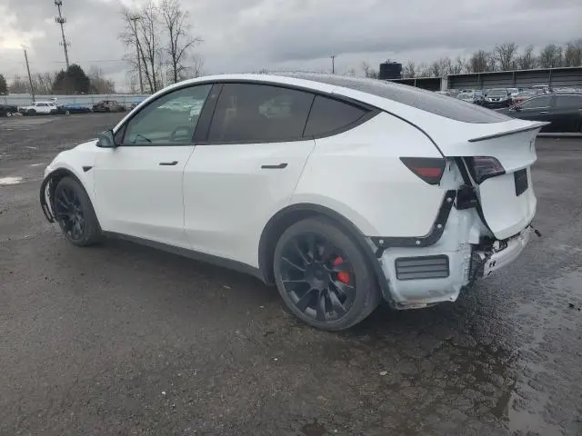 2022 TESLA MODEL Y   