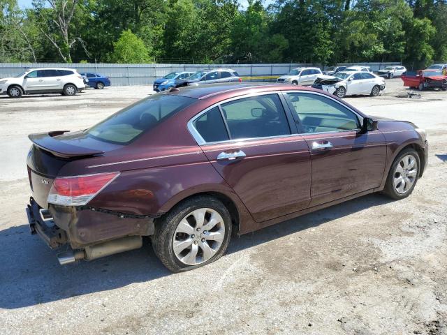 2010 HONDA ACCORD EXL