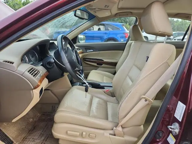 2010 HONDA ACCORD EXL  