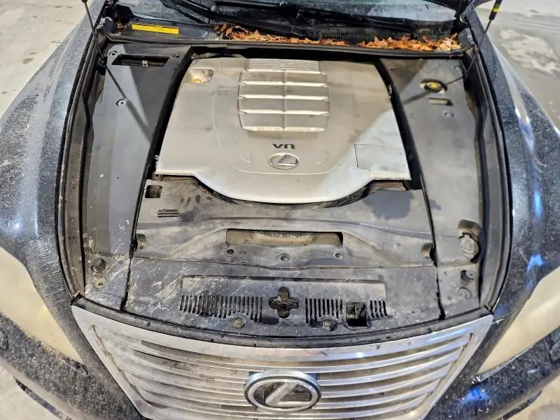 2011 LEXUS LS 460  