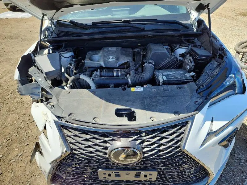 2019 LEXUS NX 300 F SPORT  