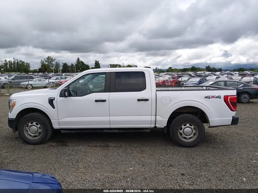 2021 FORD F-150 XL