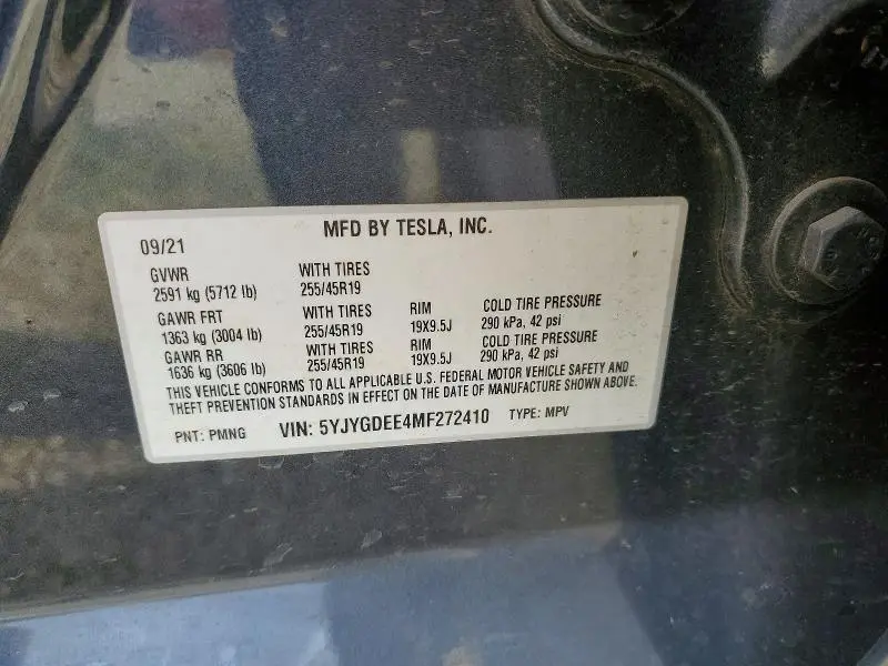 2021 TESLA MODEL Y   