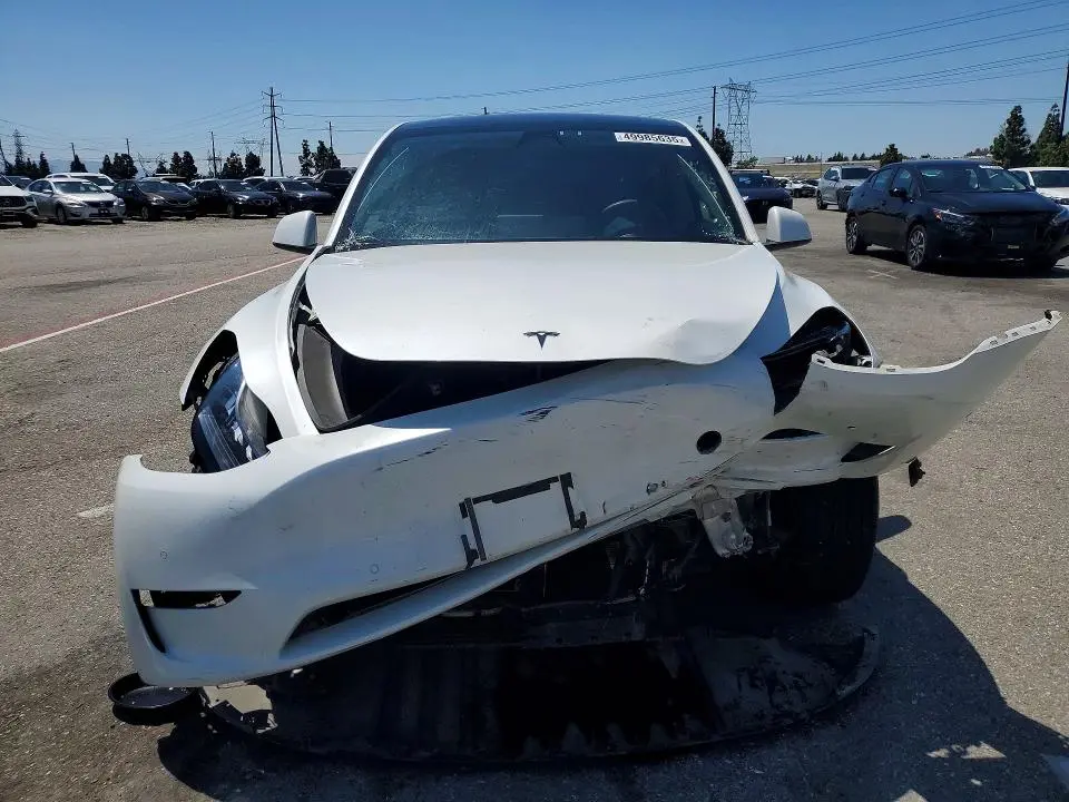2021 TESLA MODEL Y   