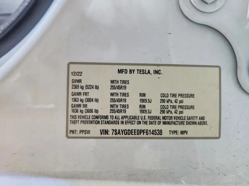 2023 TESLA MODEL Y   