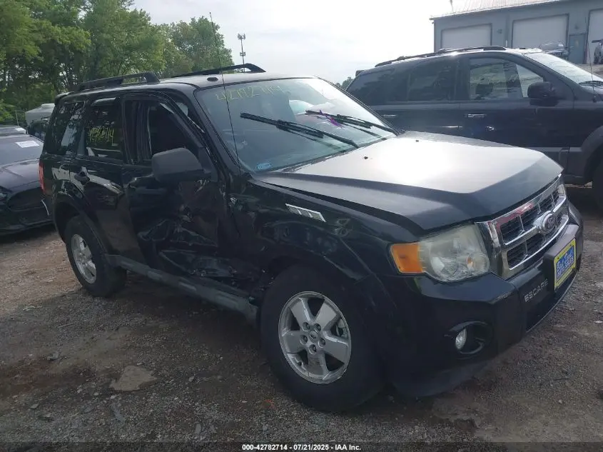 2010 FORD ESCAPE XLT