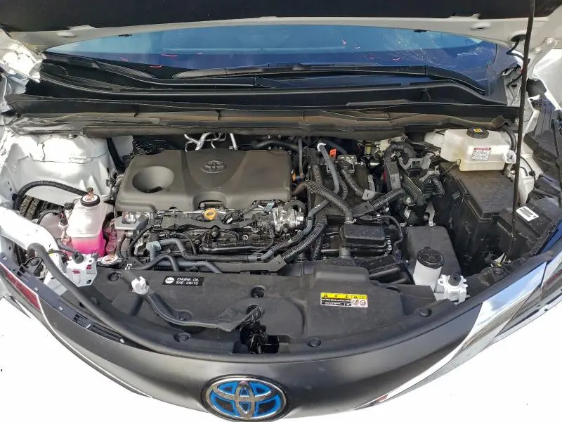 2024 TOYOTA SIENNA LE  