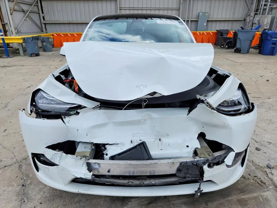 2021 TESLA MODEL Y   