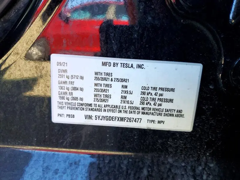 2021 TESLA MODEL Y   