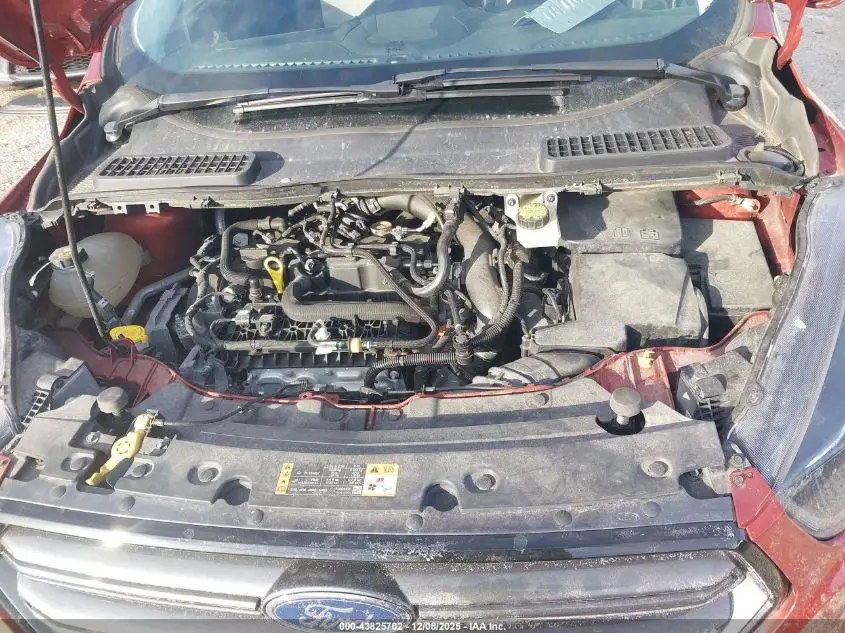 2019 FORD ESCAPE SEL