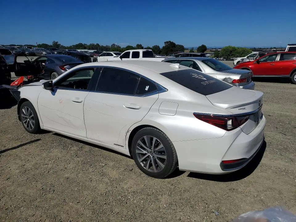 2019 LEXUS ES 300H  