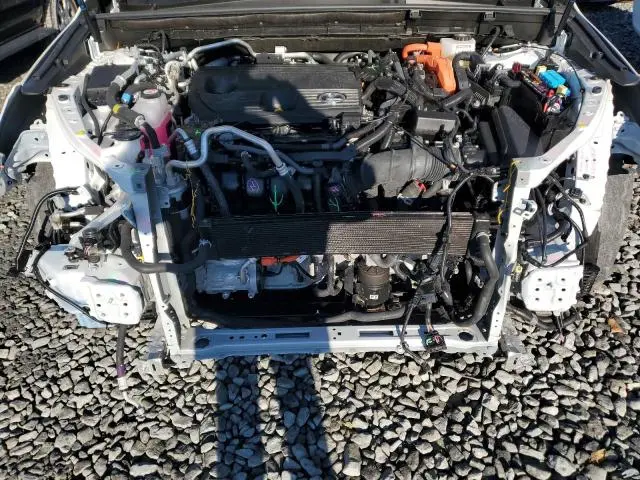 2025 LEXUS NX 450H LUXURY  