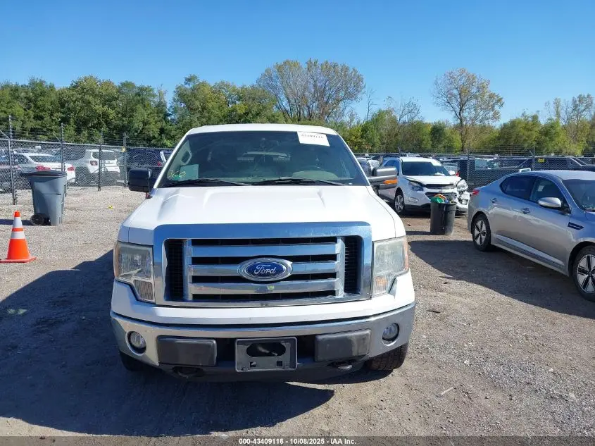 2011 FORD F-150 XLT