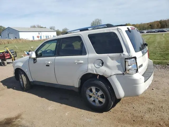 2010 FORD ESCAPE LIMITED  