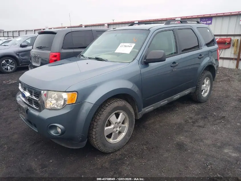 2011 FORD ESCAPE XLT