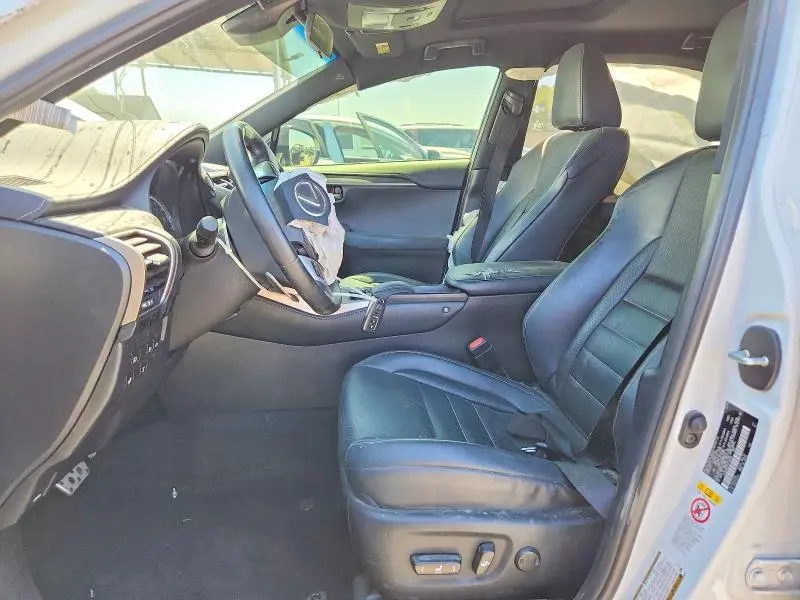 2019 LEXUS NX 300 F SPORT  