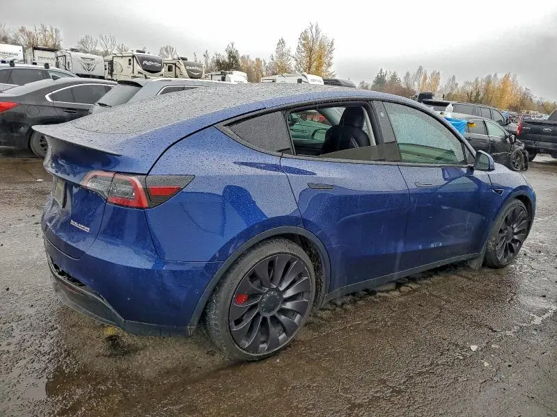 2021 TESLA MODEL Y   