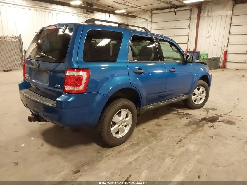 2011 FORD ESCAPE XLT
