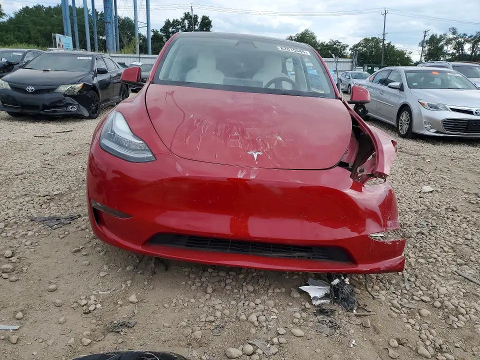 2021 TESLA MODEL Y   