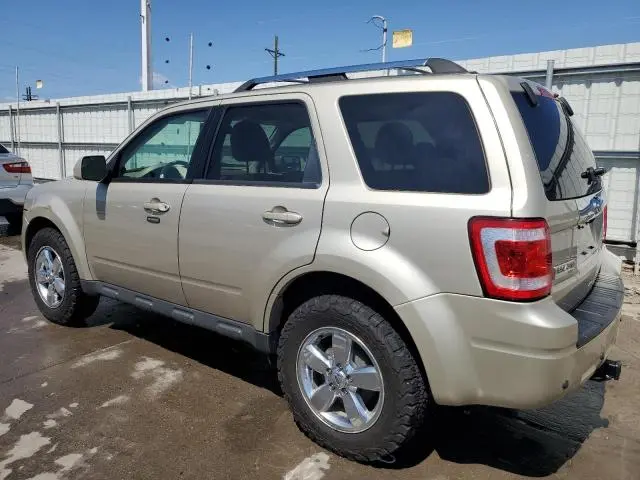 2010 FORD ESCAPE LIMITED  