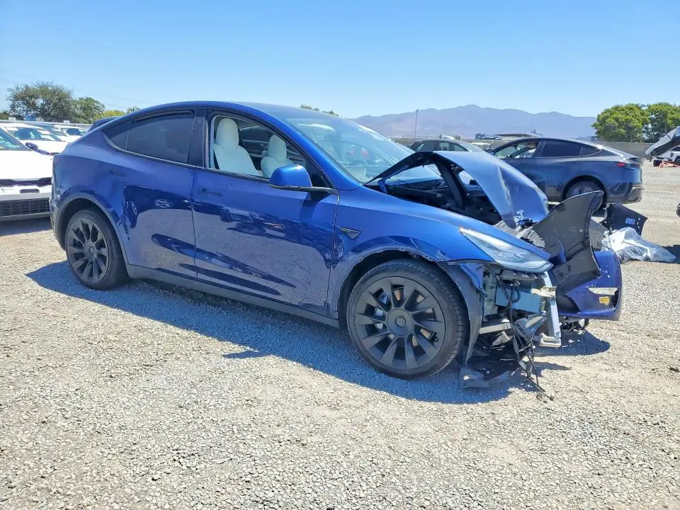 2021 TESLA MODEL Y   