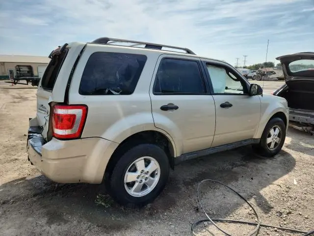 2011 FORD ESCAPE XLT  