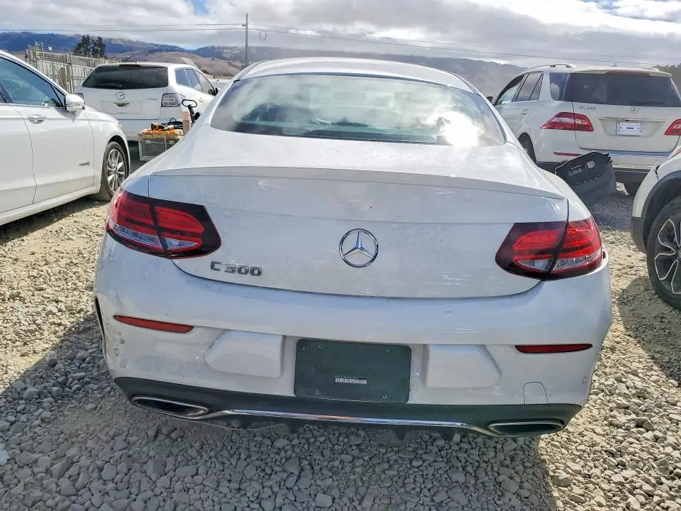 2019 MERCEDES-BENZ C 300  