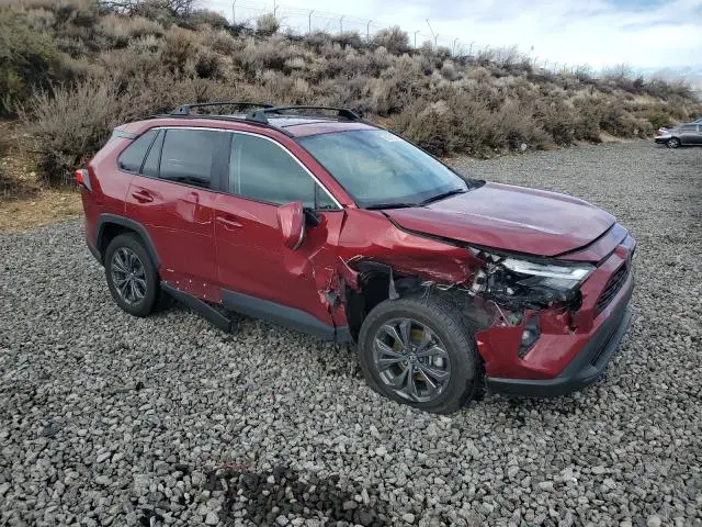 2024 TOYOTA RAV4 XLE PREMIUM  