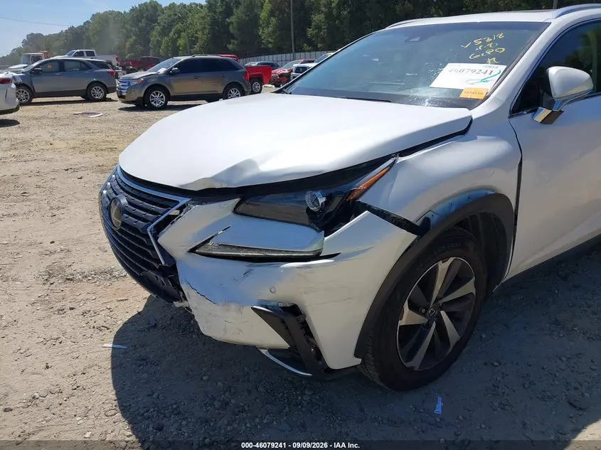 2019 LEXUS NX 300  