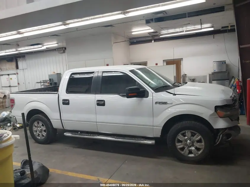 2011 FORD F-150 XL/XLT